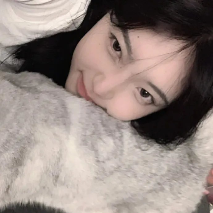 骆驼献舞 封面