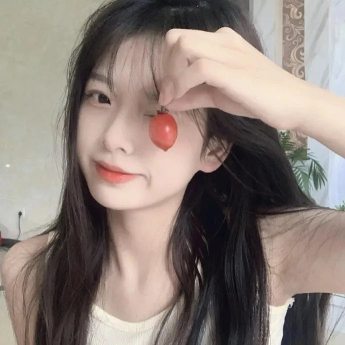 芝加哥派对阿姨第一季 封面